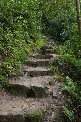 Machu Pichu