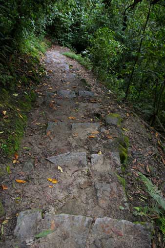 Machu Pichu