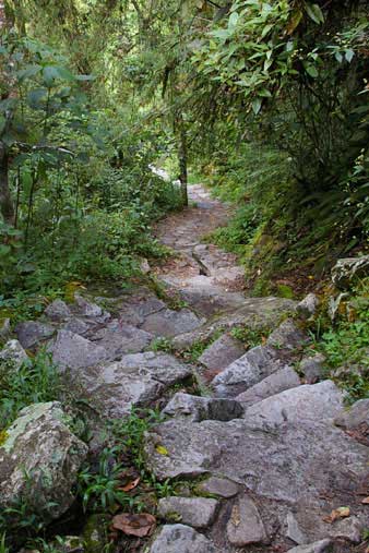 Machu Pichu