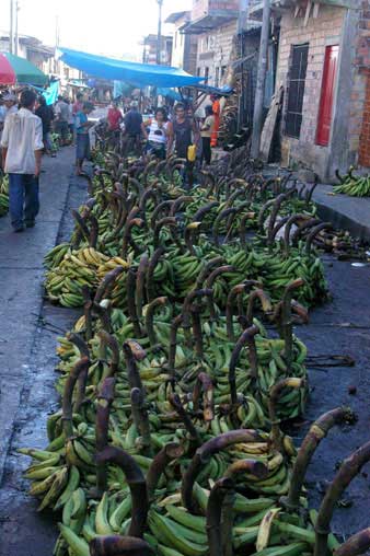 Iquitos