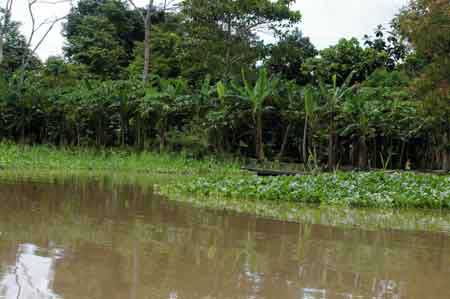 Iquitos