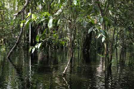 Iquitos