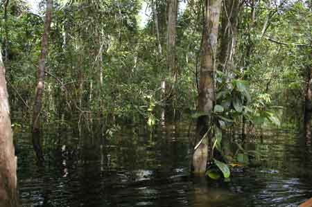 Iquitos