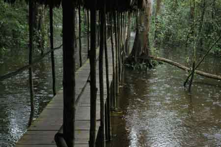 Iquitos