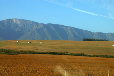 swellendam