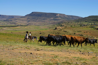 lesotho / Malealea