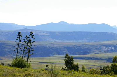 lesotho / Malealea