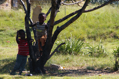 lesotho