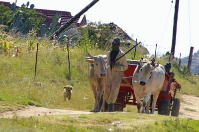 lesotho