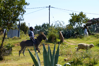 lesotho