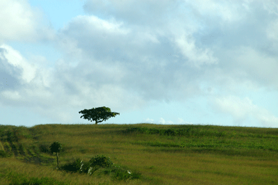 lesotho