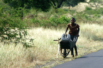 swaziland