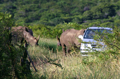 hluhuwe