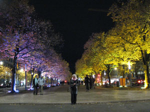 Berlin by Night