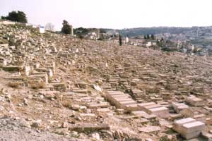 israel