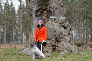 stolberg / harz