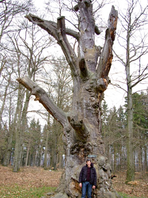 stolberg / harz