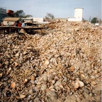 senegal