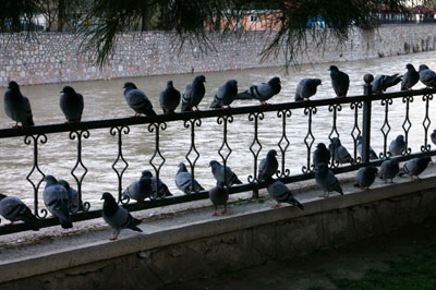 Amasya