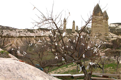 Cappadokien